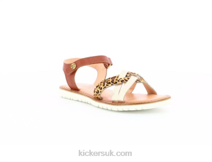 Betternew Gold Leopard Kickers ZDBR674 Kids