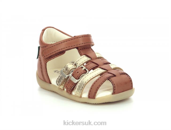 Bigkro Camel Gold Kickers ZDBR695 Kids