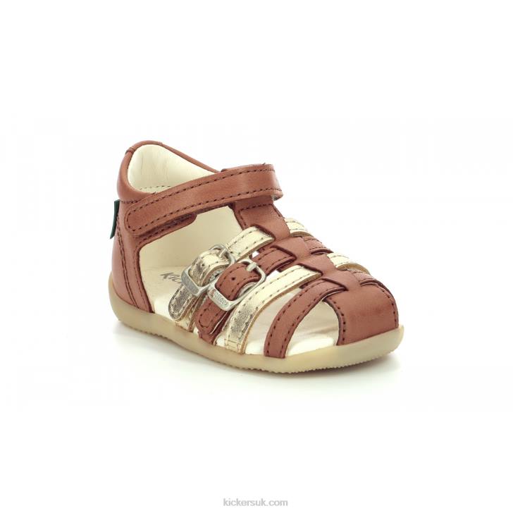 Bigkro Camel Gold Kickers ZDBR695 Kids