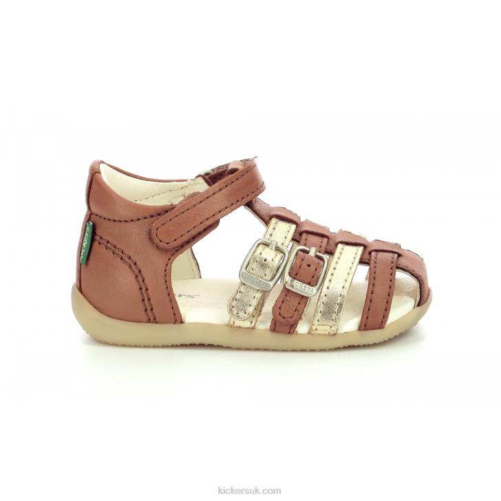 Bigkro Camel Gold Kickers ZDBR695 Kids