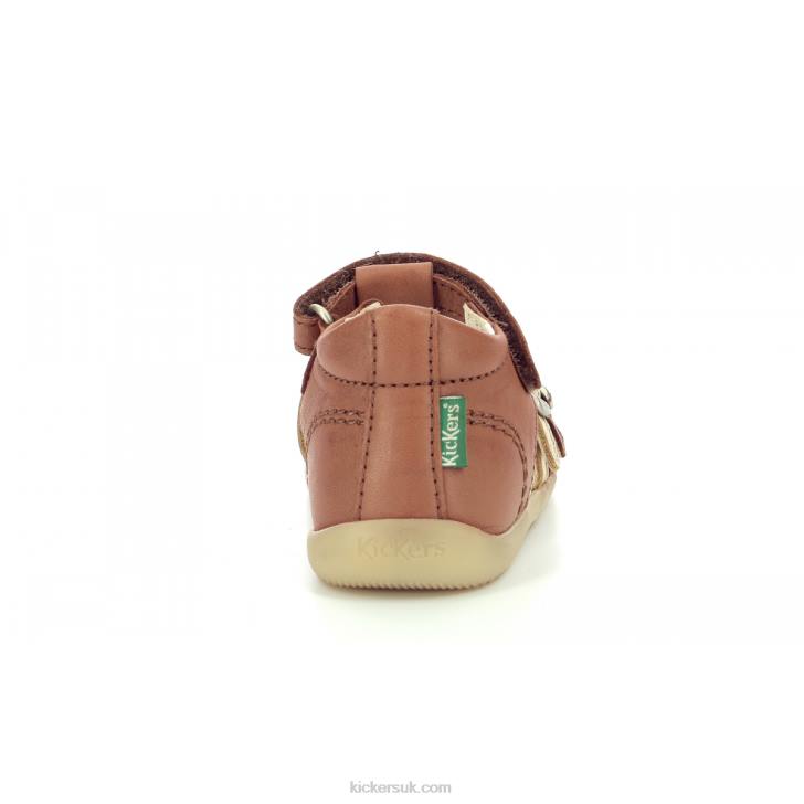 Bigkro Camel Gold Kickers ZDBR695 Kids