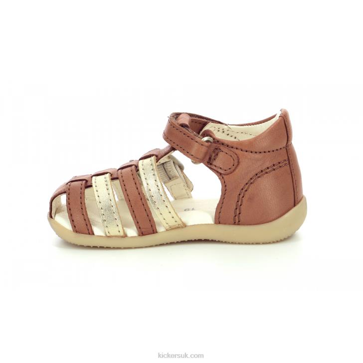 Bigkro Camel Gold Kickers ZDBR695 Kids