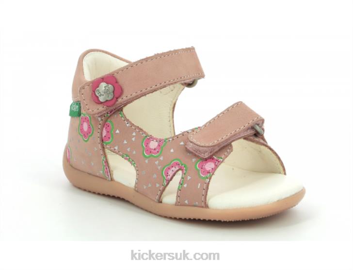 Binsia-2 Pink Flower Kickers ZDBR381 Kids