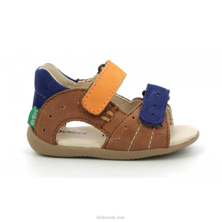 Boping-2 Camel Orange Blue Kickers ZDBR720 Kids