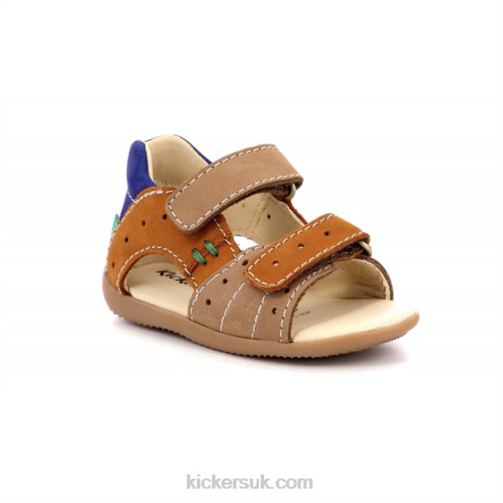 Boping-2 Dark Beige Kickers ZDBR435 Kids