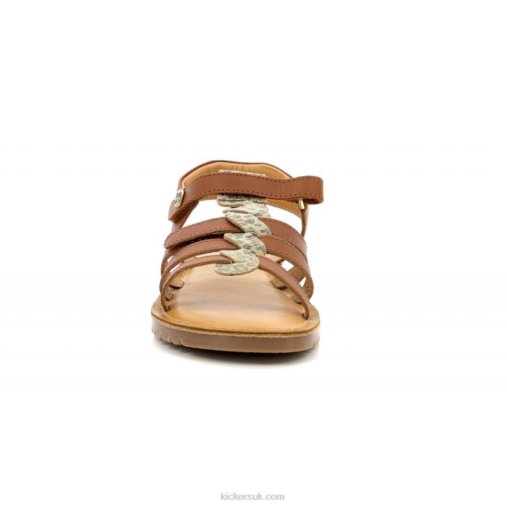 Brahmia Camel Leopard Kickers ZDBR679 Kids
