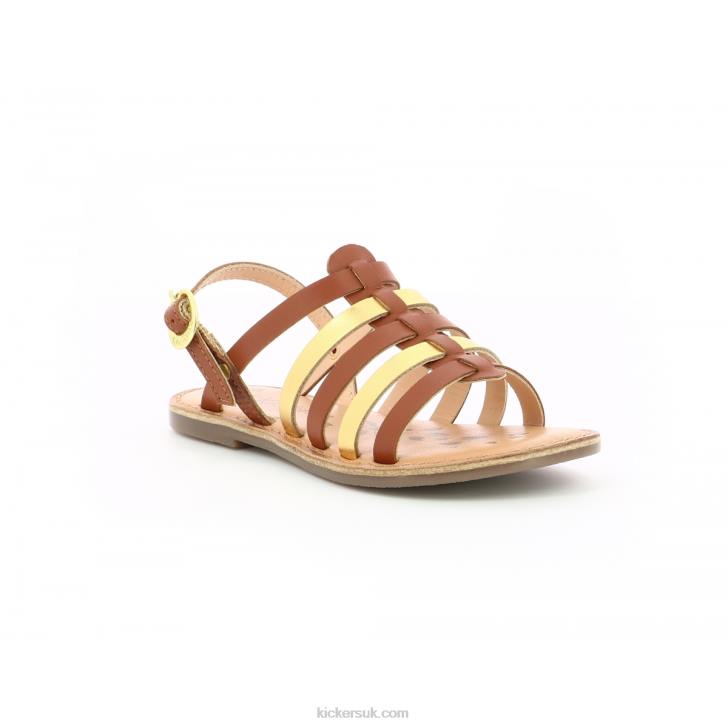Dixon Camel Gold Kickers ZDBR658 Kids