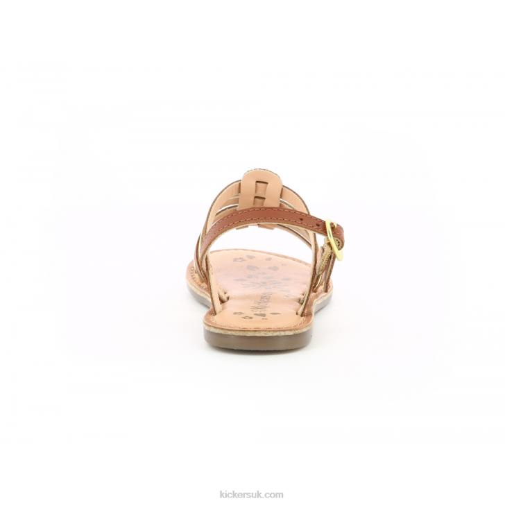 Dixon Camel Gold Kickers ZDBR658 Kids