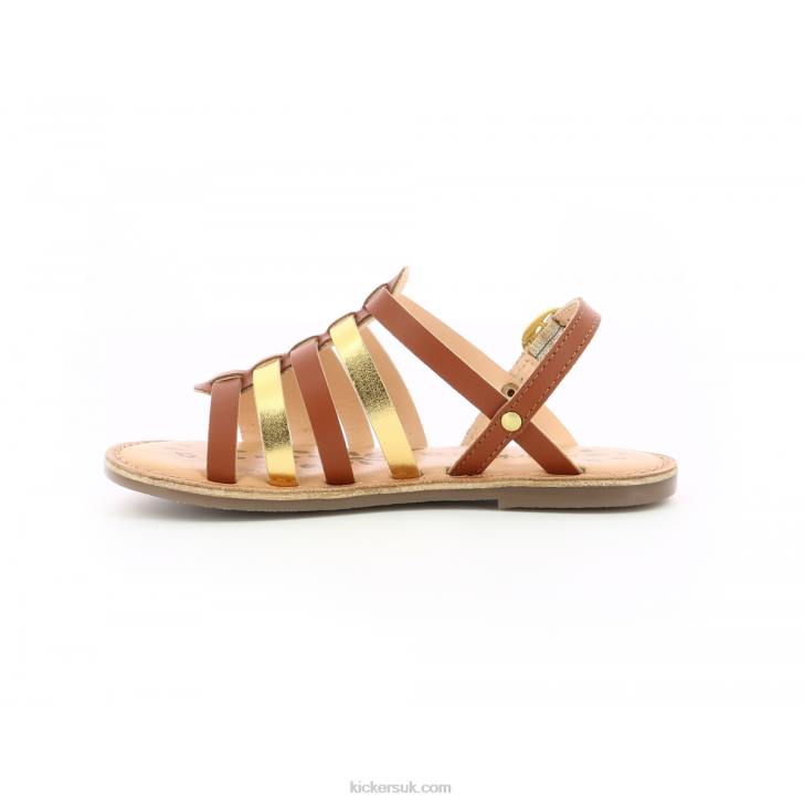 Dixon Camel Gold Kickers ZDBR658 Kids