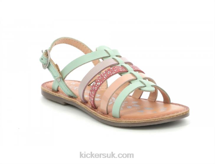 Dixon Light Green Pink Purple Kickers ZDBR422 Kids