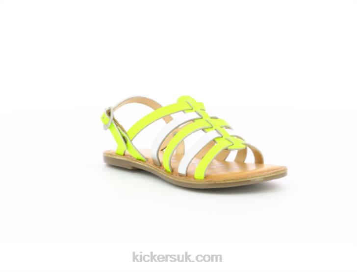 Dixon Yellow Neon Silver Kickers ZDBR408 Kids