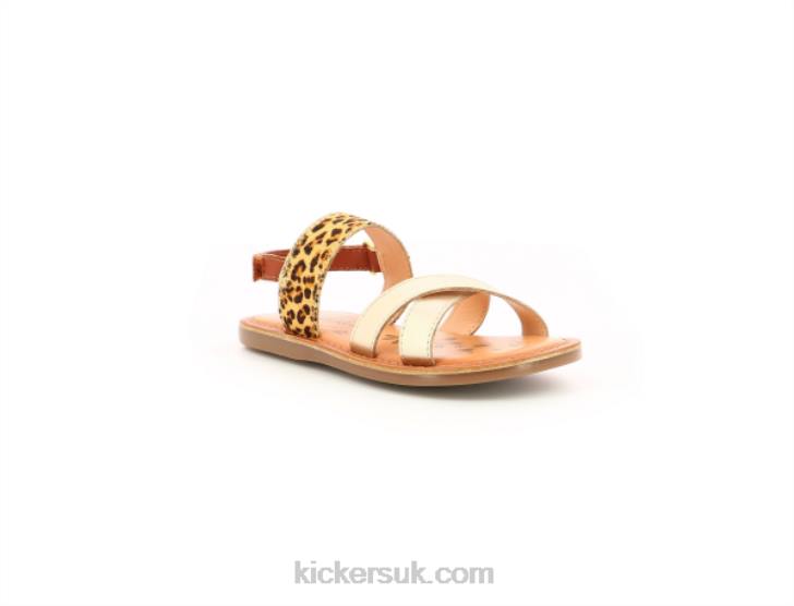 Dyacross Gold Leopard Kickers ZDBR752 Kids