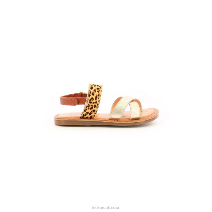 Dyacross Gold Leopard Kickers ZDBR752 Kids