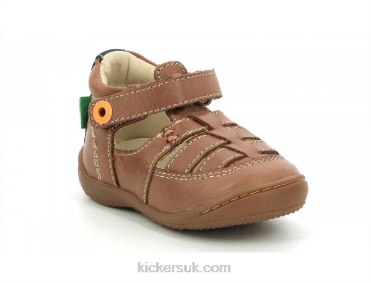 Gakick Camel Navy Kickers ZDBR428 Kids