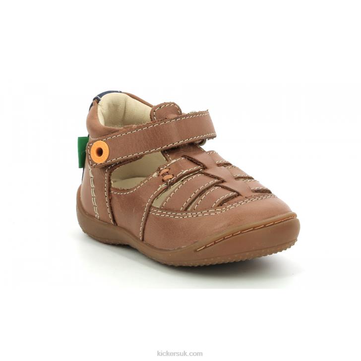 Gakick Camel Navy Kickers ZDBR428 Kids