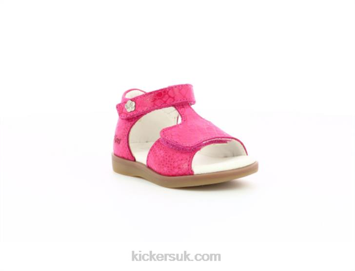 Giusticia Pink Printed Reptile Kickers ZDBR463 Kids