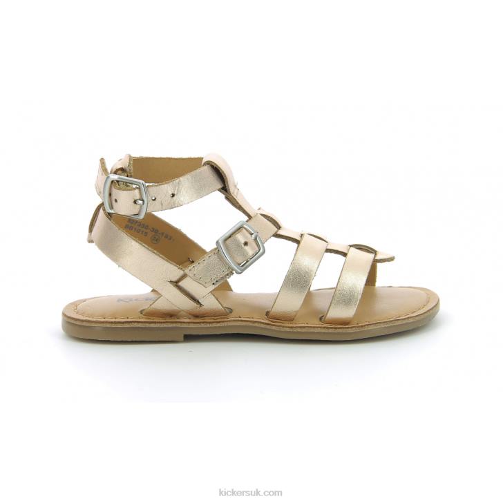Kick Dazed Gold Pink Kickers ZDBR712 Kids