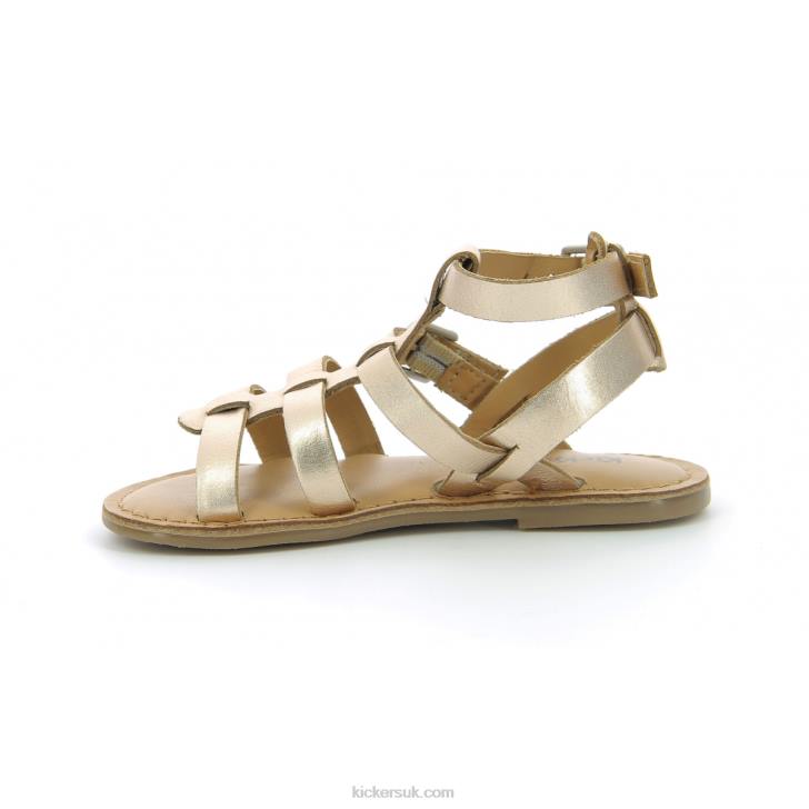 Kick Dazed Gold Pink Kickers ZDBR712 Kids