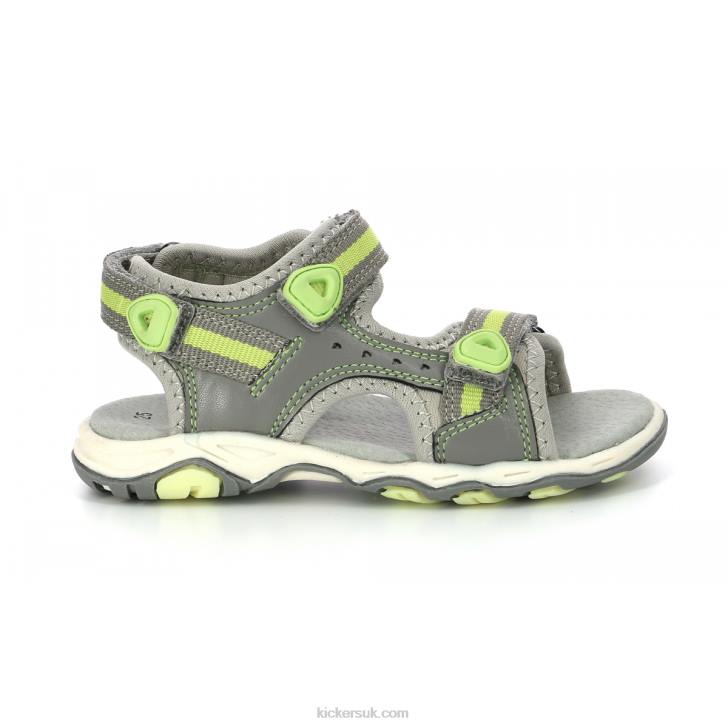Kiwi Light Grey Kickers ZDBR724 Kids
