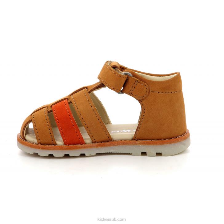 Nonopi Camel Orange Kickers ZDBR700 Kids