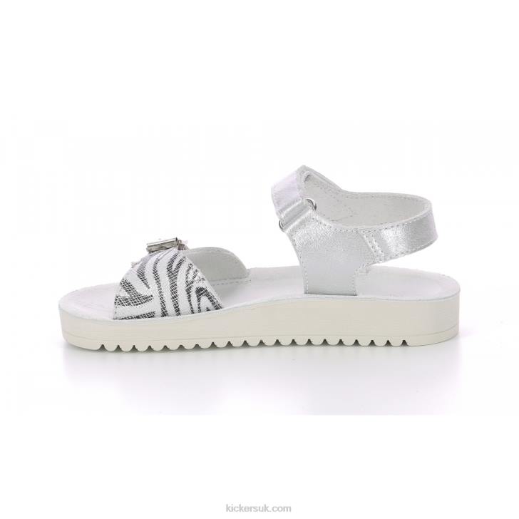 Odyssa Silver Zebra Kickers ZDBR635 Kids