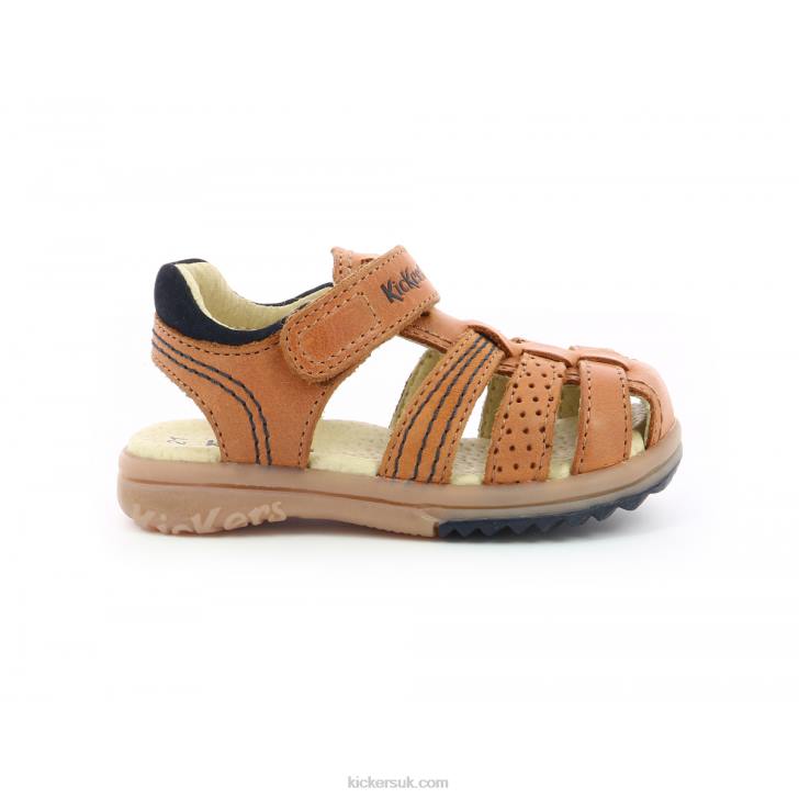 Platinium Camel Kickers ZDBR706 Kids