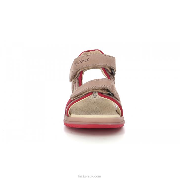 Platino Beige Orange Kickers ZDBR405 Kids