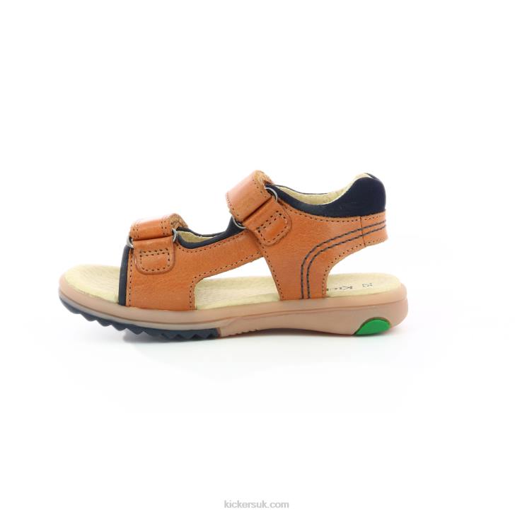 Platino Camel Kickers ZDBR590 Kids