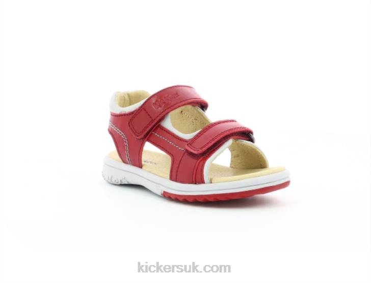 Platino Red Grey Kickers ZDBR386 Kids