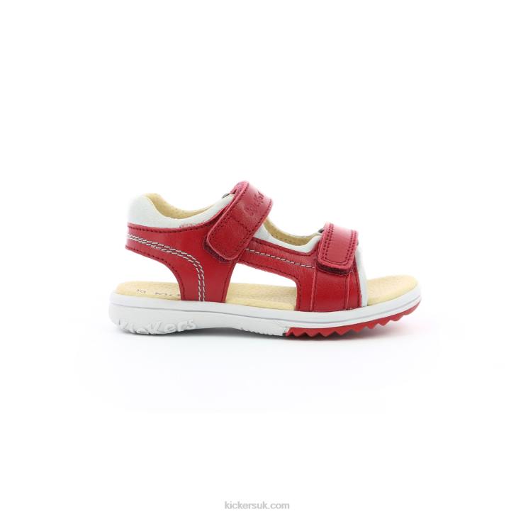 Platino Red Grey Kickers ZDBR386 Kids