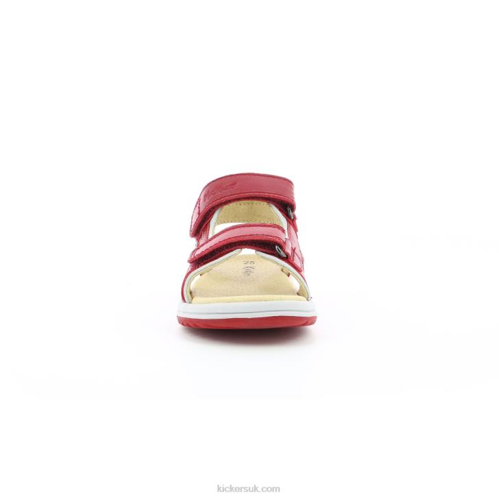 Platino Red Grey Kickers ZDBR386 Kids