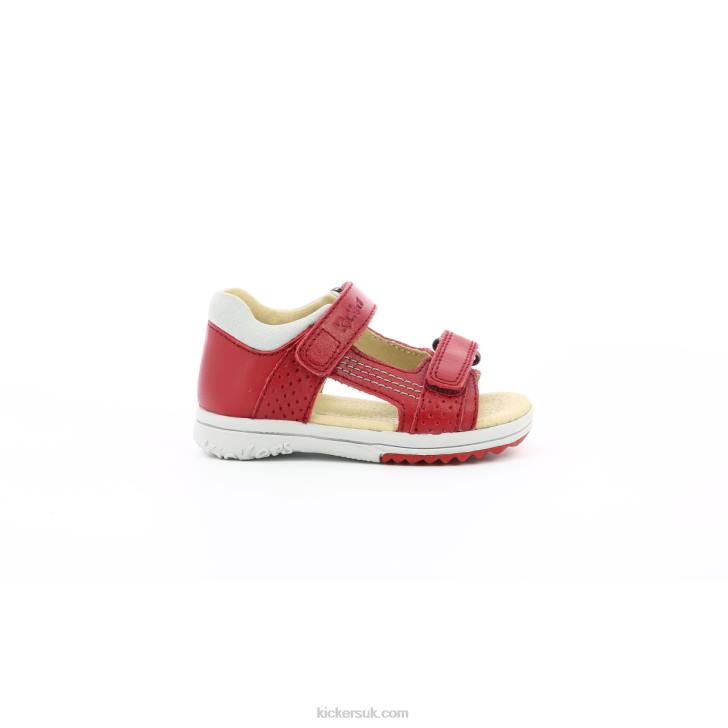 Plazabi Red Grey Kickers ZDBR394 Kids