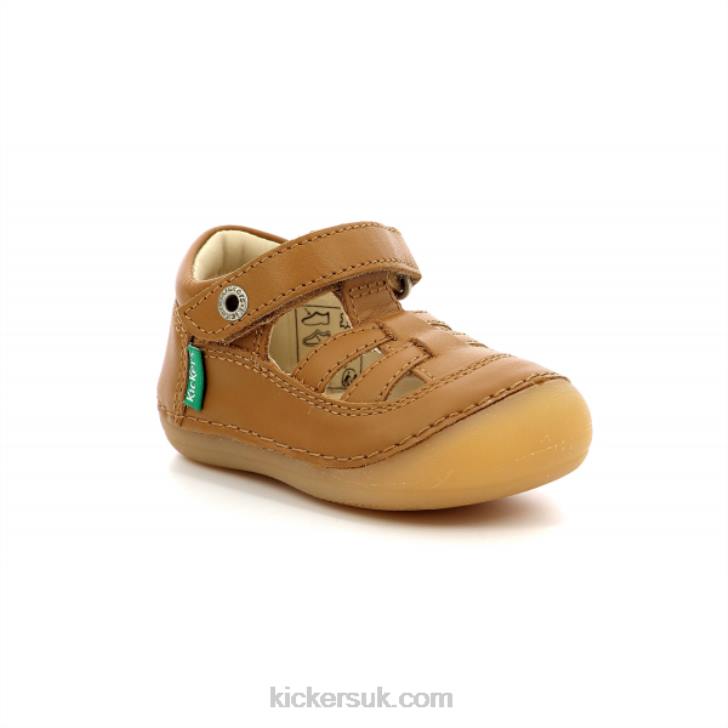Sushy Camel Kickers ZDBR511 Kids