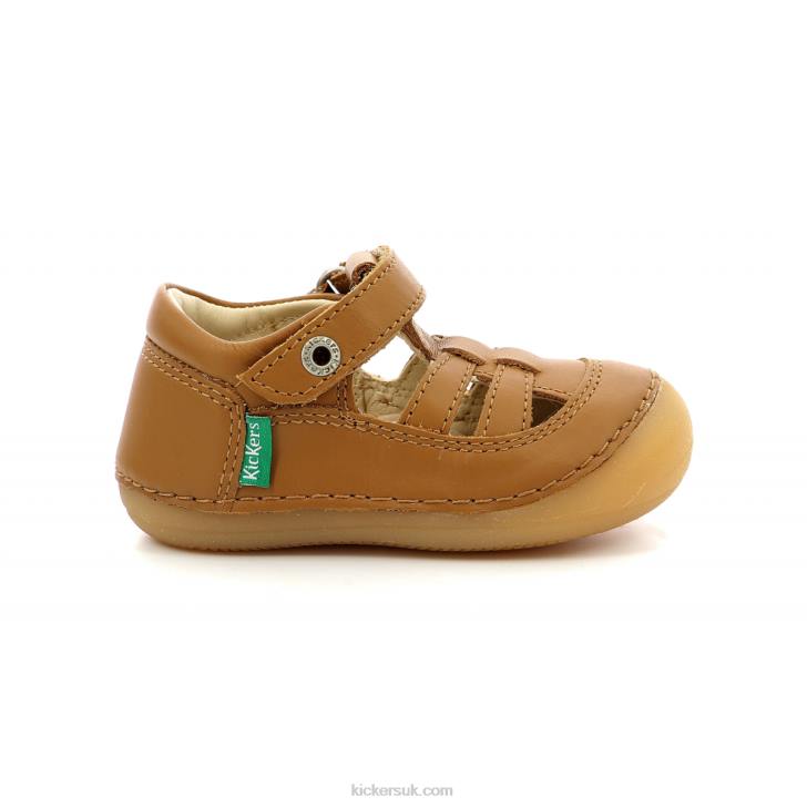 Sushy Camel Kickers ZDBR511 Kids