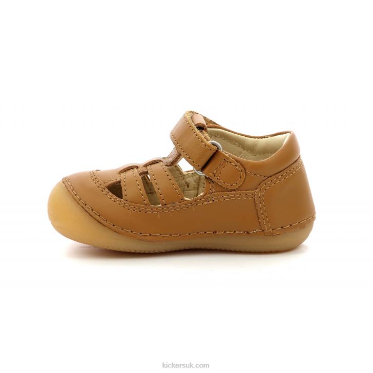 Sushy Camel Kickers ZDBR511 Kids