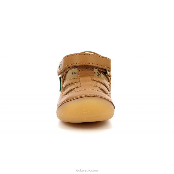 Sushy Camel Kickers ZDBR511 Kids