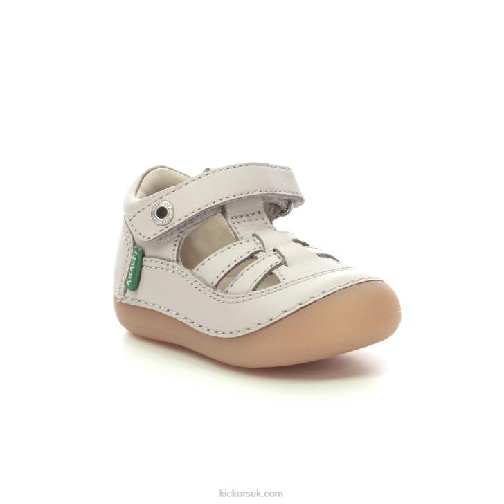 Sushy Light Grey Kickers ZDBR512 Kids