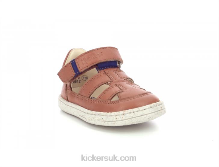 Tractus Camel Blue Kickers ZDBR460 Kids