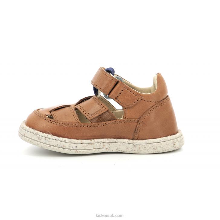Tractus Camel Blue Kickers ZDBR576 Kids