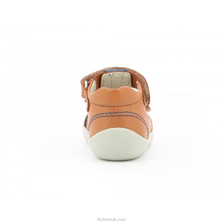 Wasabou Camel Blue Kickers ZDBR559 Kids