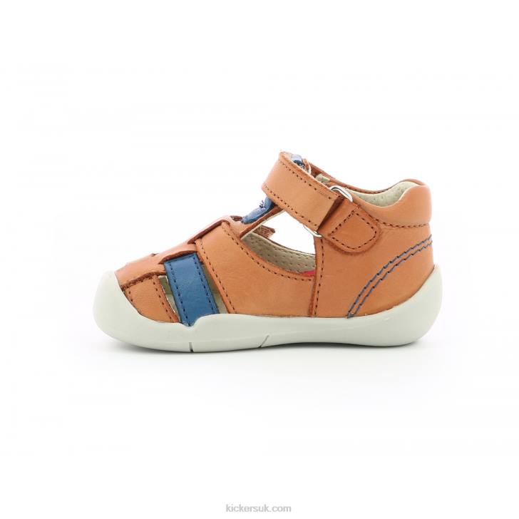 Wasabou Camel Blue Kickers ZDBR559 Kids