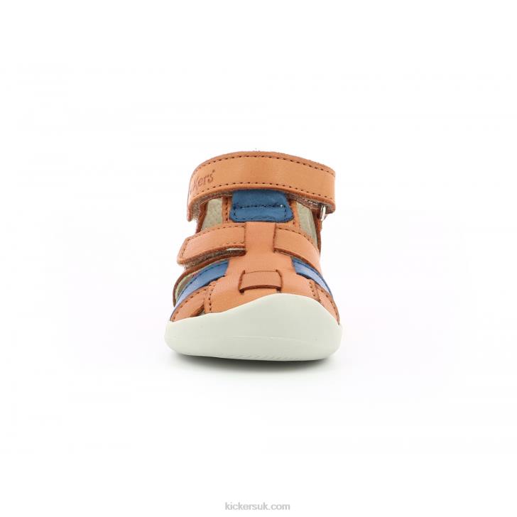 Wasabou Camel Blue Kickers ZDBR559 Kids