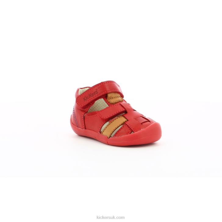 Wasabou Red Camel Kickers ZDBR436 Kids