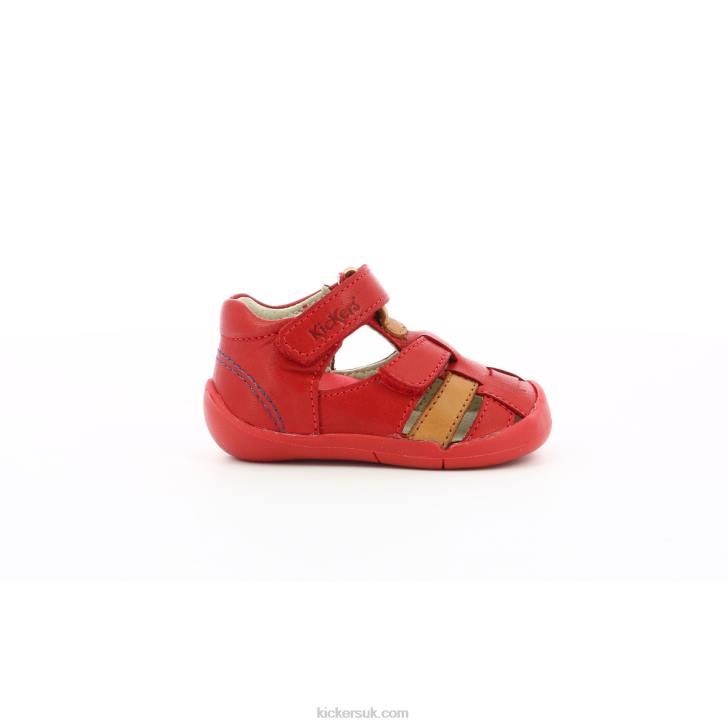 Wasabou Red Camel Kickers ZDBR436 Kids