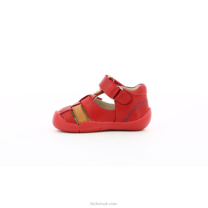 Wasabou Red Camel Kickers ZDBR436 Kids
