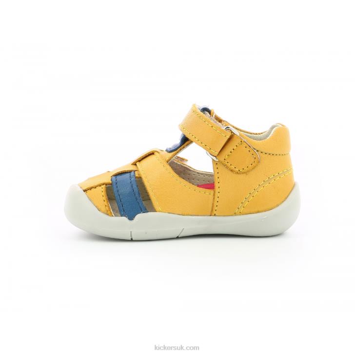 Wasabou Yellow Blue Kickers ZDBR438 Kids