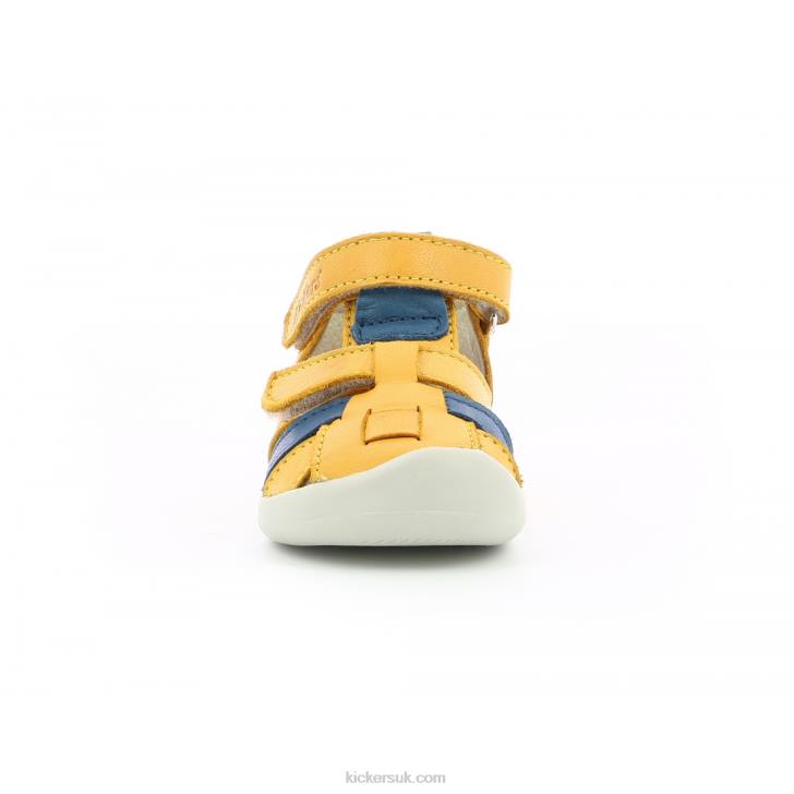 Wasabou Yellow Blue Kickers ZDBR438 Kids