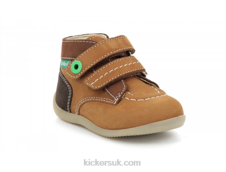 Bonkro-2 Camel Brown Tricolor Kickers ZDBR904 Kids