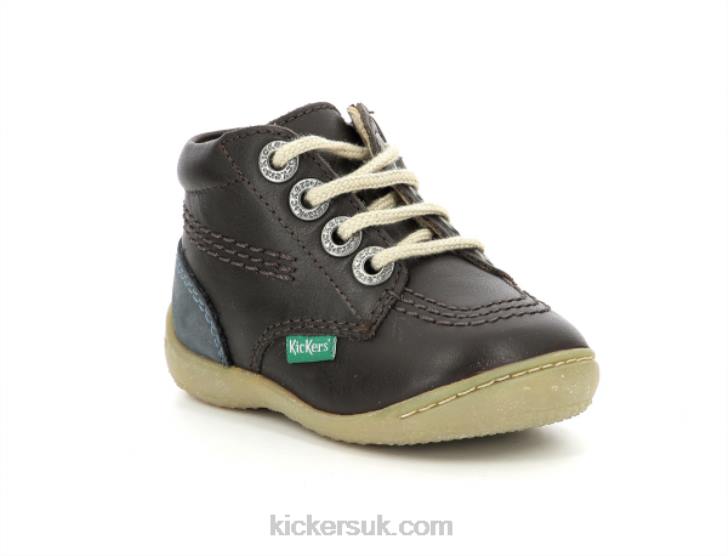 Gazip Dark Brown Navy Kickers ZDBR848 Kids