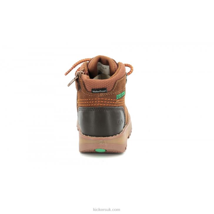 Kicknature Brown Orange Kickers ZDBR816 Kids
